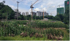 关于三钢b区2#地块闲置土地租赁网上公开竞租公告1307.png