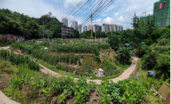 关于三钢b区2#地块闲置土地租赁网上公开竞租公告1484.png